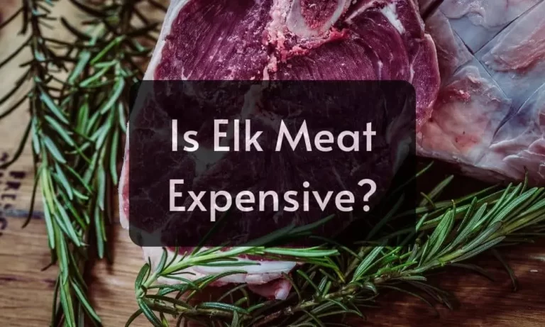 Is Elk Meat Expensive? Elk Meat Benefits;